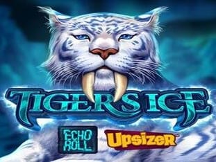 Tigers Ice icon
